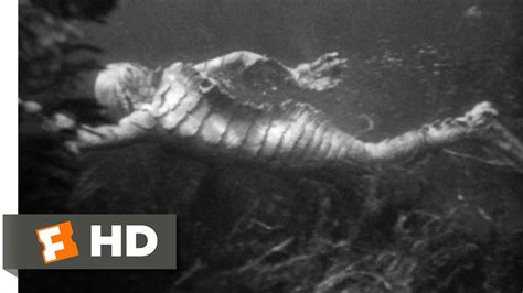 Creature From The Black Lagoon Movie Clip Underwater Hunt