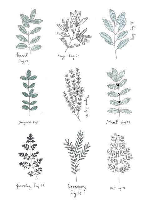 Uk Illustrations De Plantes