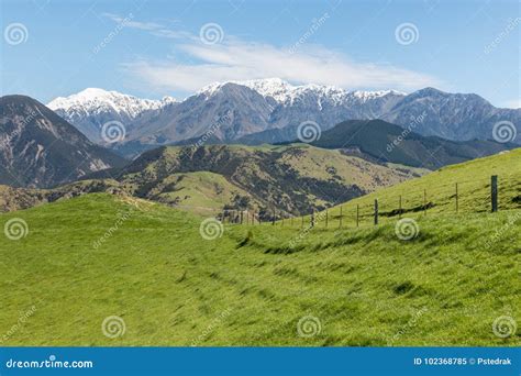 Green Grass Growing On Slopes In New Zealand Stock Image Image Of