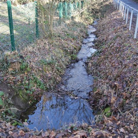 Fliesen in euskirchen 12 aktuelle adressen mit bewertungen und öffnungszeiten jetzt bei lokalwissen anzeigen! Nettersheim: Regenwasser soll gefiltert in Bäche fließen ...
