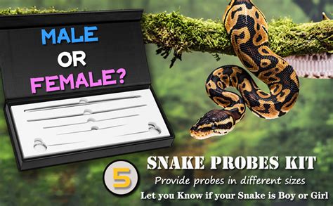 Antidious Snake Probes Kit，snake Sexing Probing Gender
