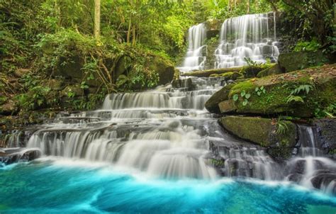 Wallpaper Forest River Waterfall Forest River