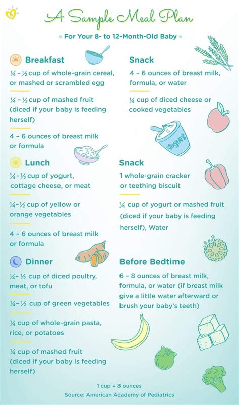 9 10 12 Month Old Baby Meal Plan And Development Milestones Studypk