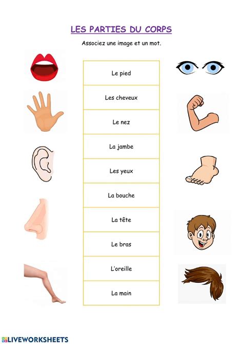 French Body Parts Vocabulary Cards Artofit