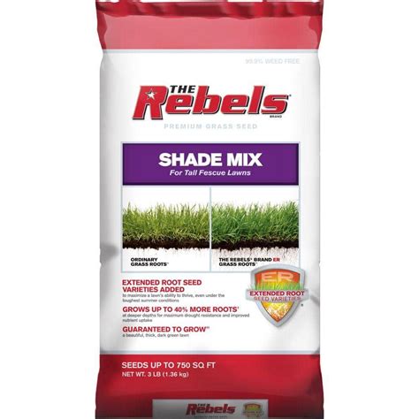 The Rebels 3 Lb Tall Fescue Shade Grass Seed Mix 100519434 The Home