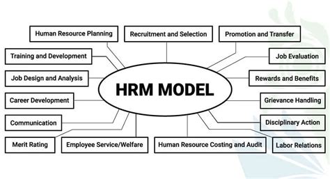 human resource management model