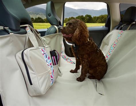 We did not find results for: 8 Gadgets For a Dog Friendly Road Trip | Healthy Paws Pet Insurance