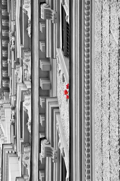 รูปภาพ ดำและขาว โครงสร้าง เนื้อไม้ บ้าน หน้าต่าง เมือง ผนัง คอลัมน์ สีแดง ซุ้ม