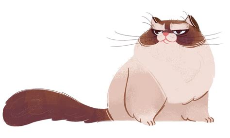Ragdoll Kitty Looking All Confident Hahaa Cute Animal Sketches