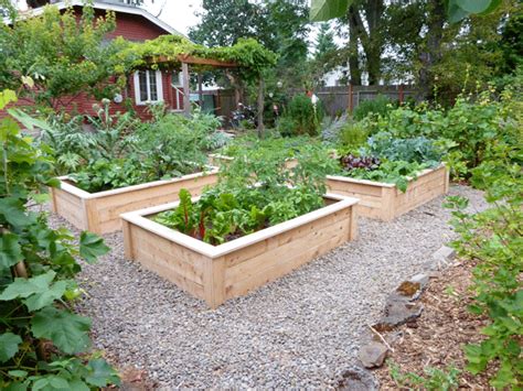 Love These Raised Beds Im Thinking The Gravel Might Be A