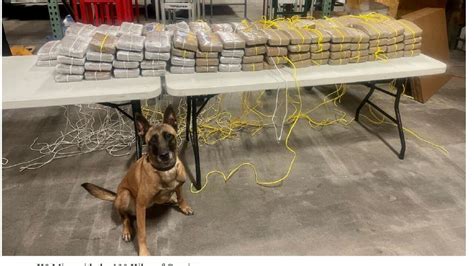 IMPD seizes 130 kilograms of cocaine from semi traveling through