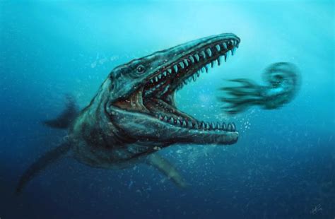 Mosasaurus Pictures And Facts The Dinosaur Database