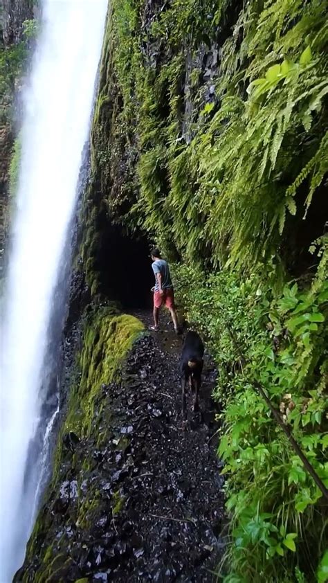 6 Incredible Waterfalls To Visit Near Portland Oregon Oregon Travel