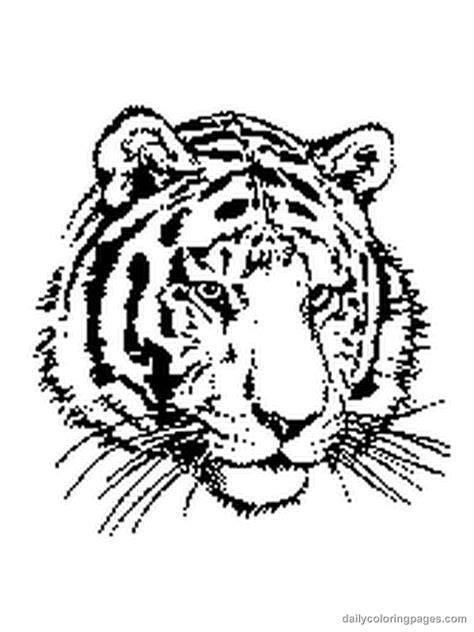 We did not find results for: Tiger Coloring Pages - GetColoringPages.com