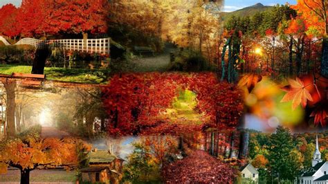 Autumn Collage Desktop Wallpapers Wallpaper Cave
