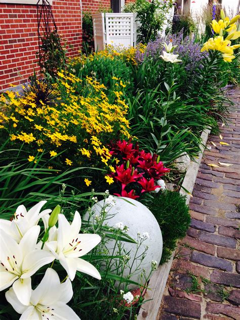A flower garden may be a superb addition to your house's landscape, particularly if you love getting yo. Sun loving perennials on south side of house | Spring ...