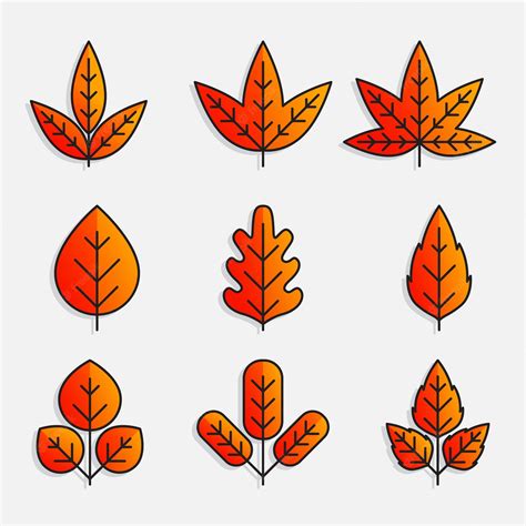 Premium Vector Autumn Leaves Collection