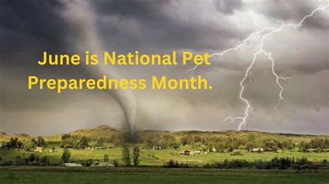 June Is National Pet Preparedness Month