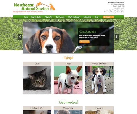 Gravoc Media Launches New Website For Northeast Animal Shelter Gravoc