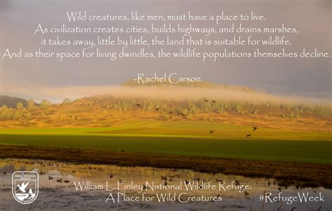 Usfws Pacific Region National Wildlife Refuges Protect The Nature Of
