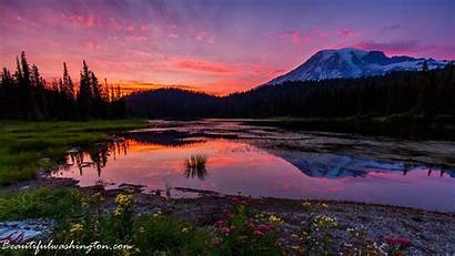 Rainier Mount National Washington Parks Park State