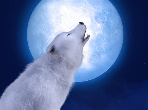Black And White Wolf Howling At The Moon Wallpaper