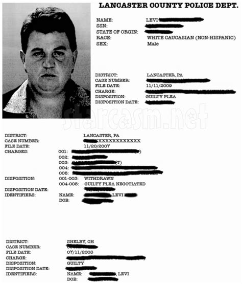 who is lebanon levi from amish mafia levi stoltzfus mug shot photo criminal record