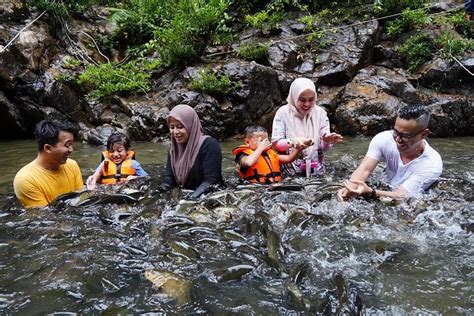 Tasik kenyir juga kaya dengan khazanah flora dan fauna yang tidak ternilai yang melayakkan tasik kenyir dinobatkan sebagai salah satu geotapak di peringkat global. Tasik Kenyir Tips #1: Resort, Houseboat, Aktiviti & Tempat ...