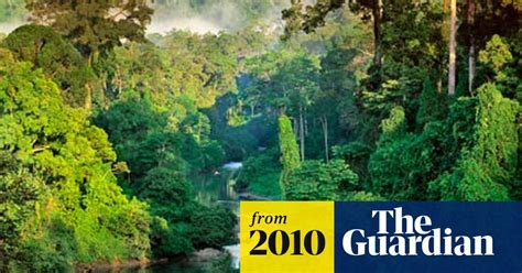 Climate Change Threat To Tropical Forests Greater Than Suspected