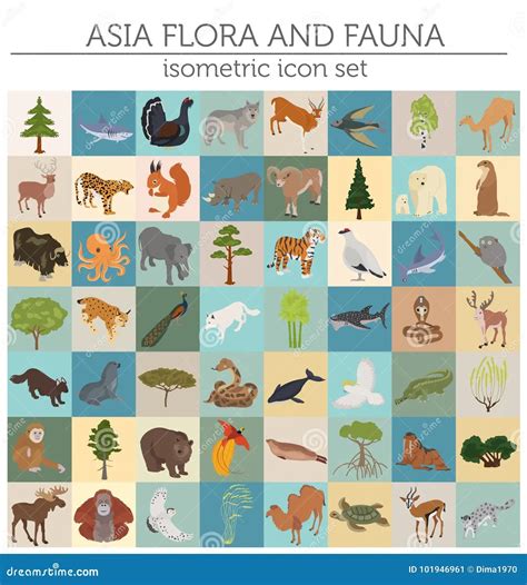 Flora Y Fauna De Asia: Diversidad única En El Continente | TeleFlor