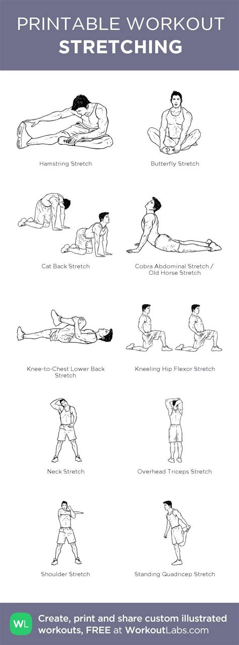 Free Download Stretching And Exercises To Get Started With Your