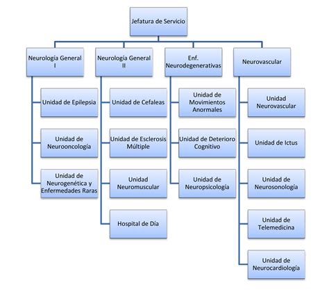 Total 58 Imagen Modelo De Organigrama De Un Hospital Abzlocalmx