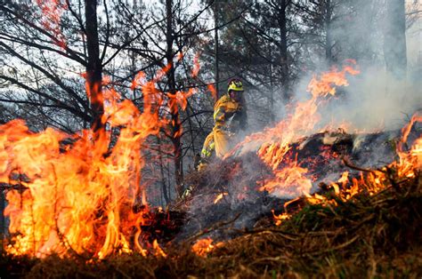 declaran alerta roja por incendio forestal en comuna de yumbel