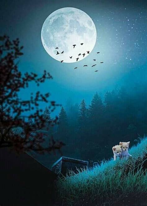 Find over 100+ of the best free beautiful nature images. Pin on Beautiful Moons