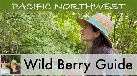 7 Edible Berries Of The Pacific Northwest — Adventures With Holly And Bryan