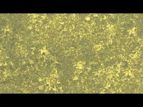 Sambarwal paints & electronic barsat road pundri mob.no.8053205899. Berger Paints Middle East Royale Play Snappy Edit - YouTube