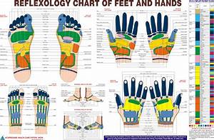 Acupressure Products In India Acupressure Natural Care System