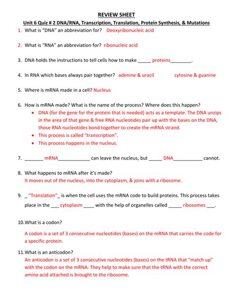 How do they work together in the translation and transcription of dna? REVIEW SHEET Unit 6 Quiz # 2 DNA/RNA, Transcription