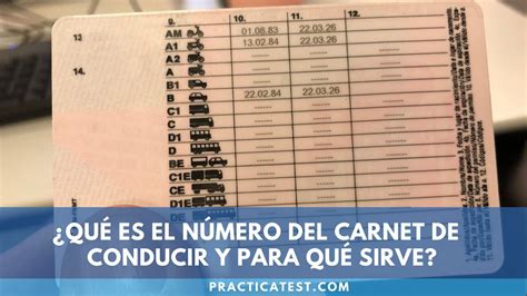 ¿qué Es El Número Del Carnet De Conducir Y Para Qué Sirve 2022