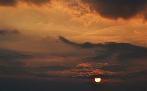 배경 화면 햇빛 일몰 바다 해돋이 저녁 태양 수평선 분위기 황혼 구름 새벽 대기 현상 잔광 아침에