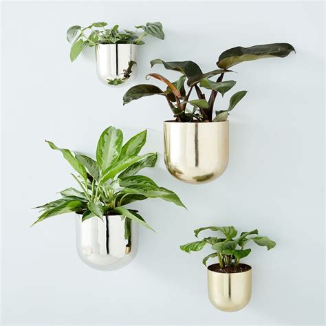 Metal Wallscape Planters Best Hanging Planters Popsugar Home Photo