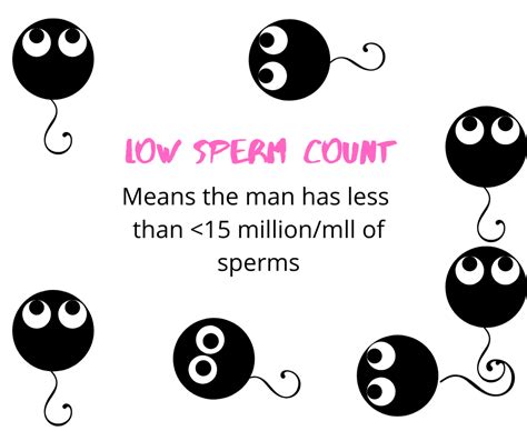 low sperm count causes symptoms and treatment explained