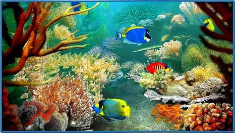 Fish Aquarium Video Screensaver Software Download Screensaversbiz C27
