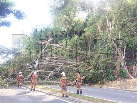 Wisma tun fuad stephens, state government buildings in kota. Pokok besar tumbang di Jalan Tun Fuad Stephen | Utusan ...