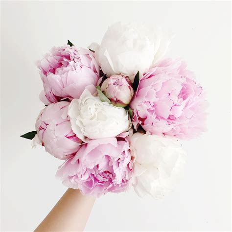 Pink And White Peonies Via Thepinkdiary On Instagram Beautiful