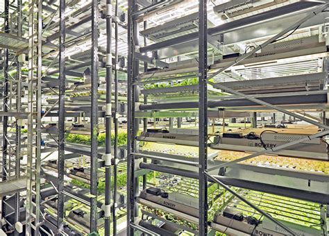 Vertical Farming Advantages You Should Know About Bowery