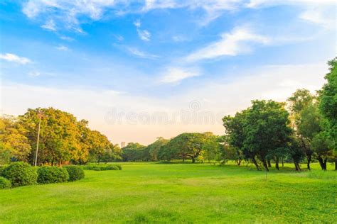 Beautiful Lawn And Trees In The Park With Clouds And Blue Sky Stock