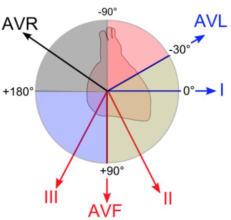 Leads avf and avl should be pointing upwards, as that is the normal direction of cardiac impulse flow. ECG Basics - R.E.B.E.L. EM - Emergency Medicine Blog