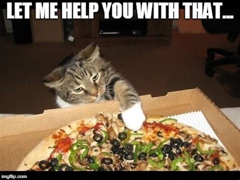 22 Cheesy Pizza Memes Sure To Make You Crave ... At memesmonkey.com find thousands of memes categorized into thousands of categories.