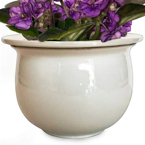 African Violet Pot Ceramic 65 W X 46 H Self Watering Planter For